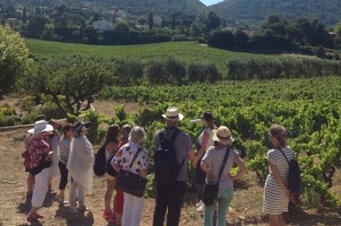 Visite touristique en région PACA pour des bénéficiaires de l'UNADEV