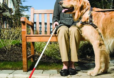 Femme avec une canne blanche et un chien-guide.