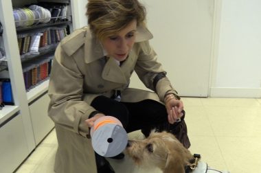 Isabelle choisit un tissu pour faire des vêtements pour chiens