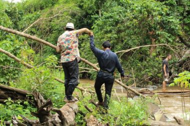 Jean-Pierre Brouillaud donne la main à un Cambodgien qui comme lui arpente un tronc au bord de la rivière. 