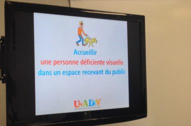 Ecran de formation UNADEV quie xplique les maladies de la rétine. 