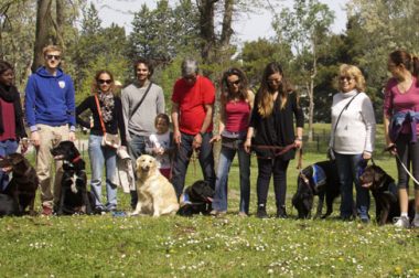 Les chiens-guides de l'école CECIDEV