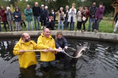 Bataille avec un esturgeon pour le sortir de l'eau