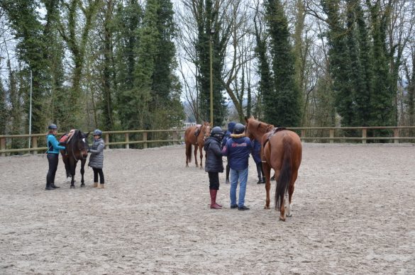 des non-voyants debout à côté des chevaux