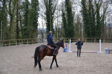 Un cavalier seul sur son cheval face à un obstacle. 