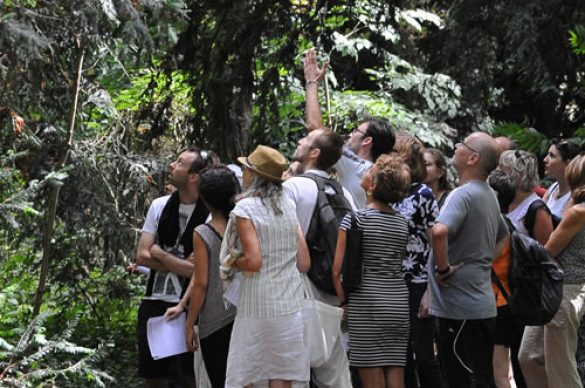 groupe dans un bois