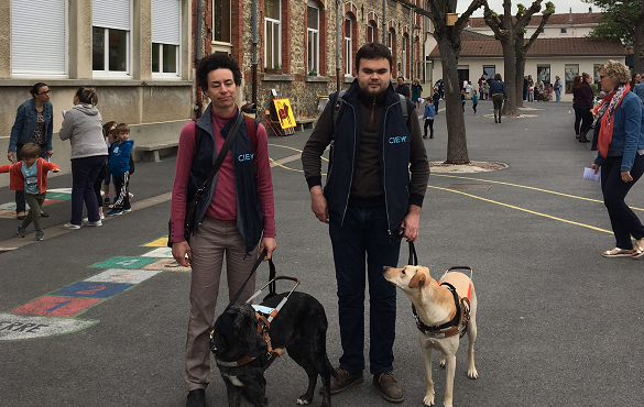 Educateurs avec chiens