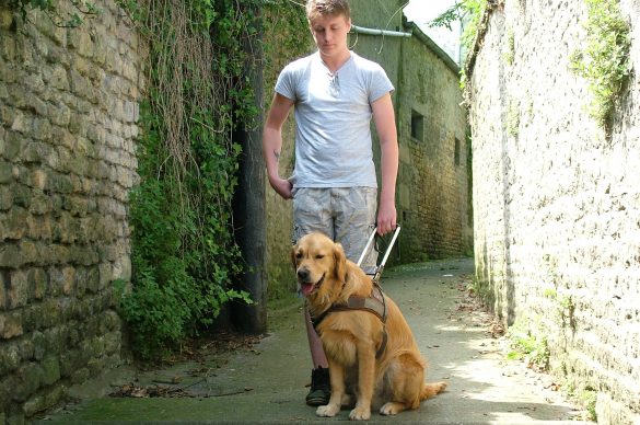 Educateur, chien dans ruelle