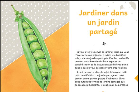 Page extraite du livre "Jardiner du bout des doigts"